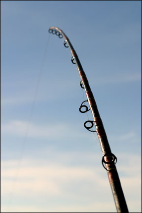 BillyStiX Custom Fishing Rods
